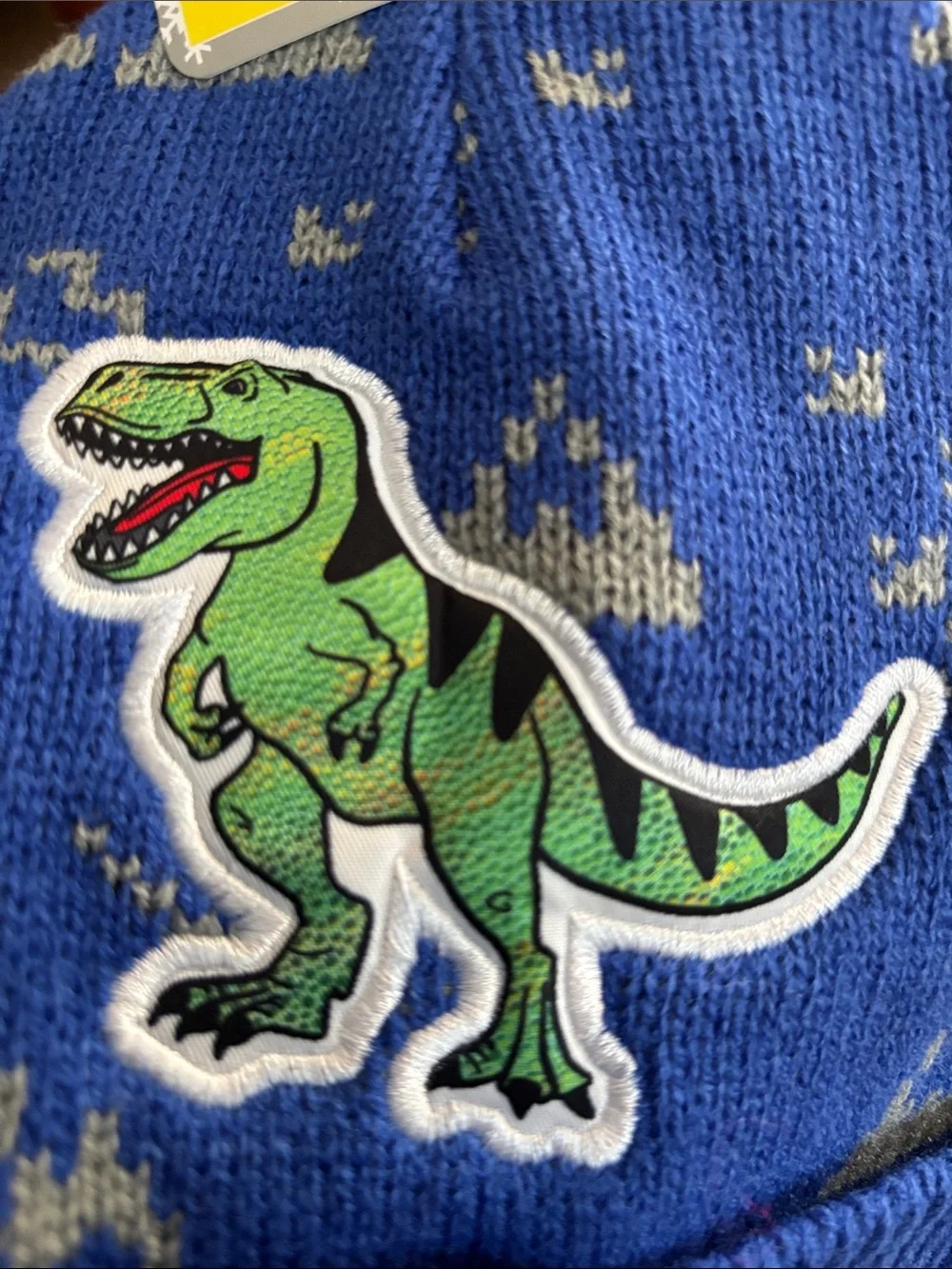 Boys’ NWT hat/glove set with dinosaur appliqué